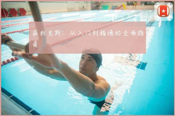 菲利克斯:从入门到精通的全面指南