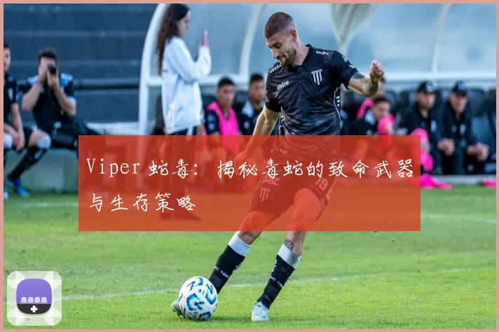 Viper 蛇毒：揭秘毒蛇的致命武器与生存策略