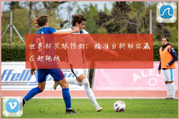 世界杯买球预测:精准分析助你赢在起跑线