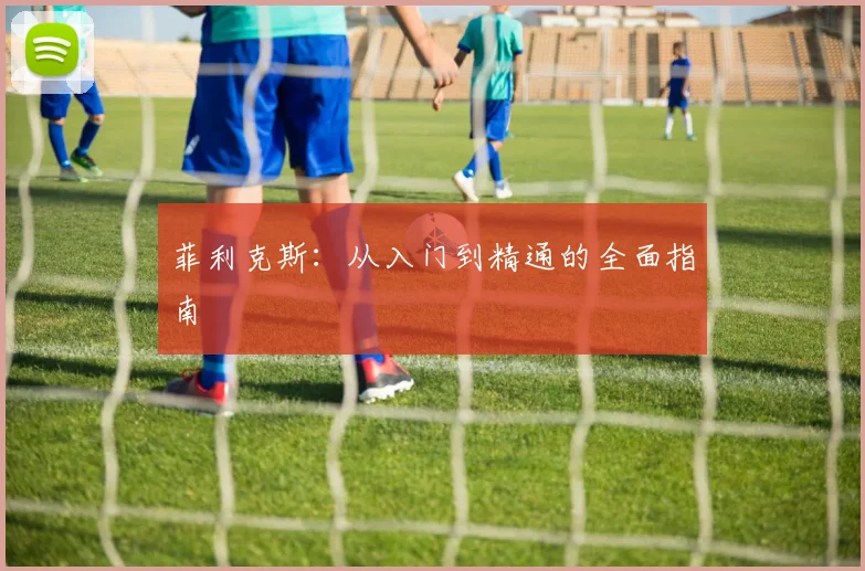 菲利克斯：从入门到精通的全面指南