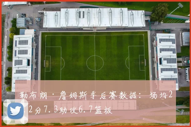 勒布朗·詹姆斯季后赛数据:场均23.2分7.3助攻6.7篮板